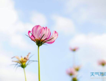春天的句子短句,万物复苏