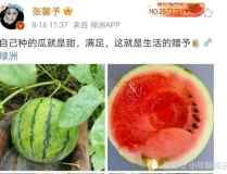 2020年娱乐圈吃瓜,揭秘年度十大“吃瓜”事件