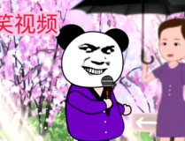 沙雕搞笑视频,网络时代的欢乐源泉