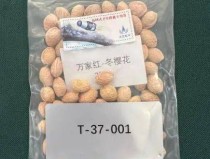 今日新闻综述丨2025年昆明长水国际机场出入境人员突破100万人次2008年以来首次！日本报告马流感疫情……？每日热点新闻10条