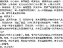 摘抄优美段落,品味文字之美