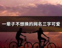 一辈子不想换的网名,那些陪伴一生的昵称精选